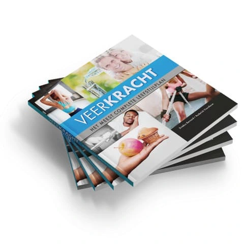 Veerkracht boek